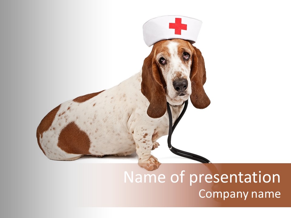 Studio Isolated Veterinarian PowerPoint Template