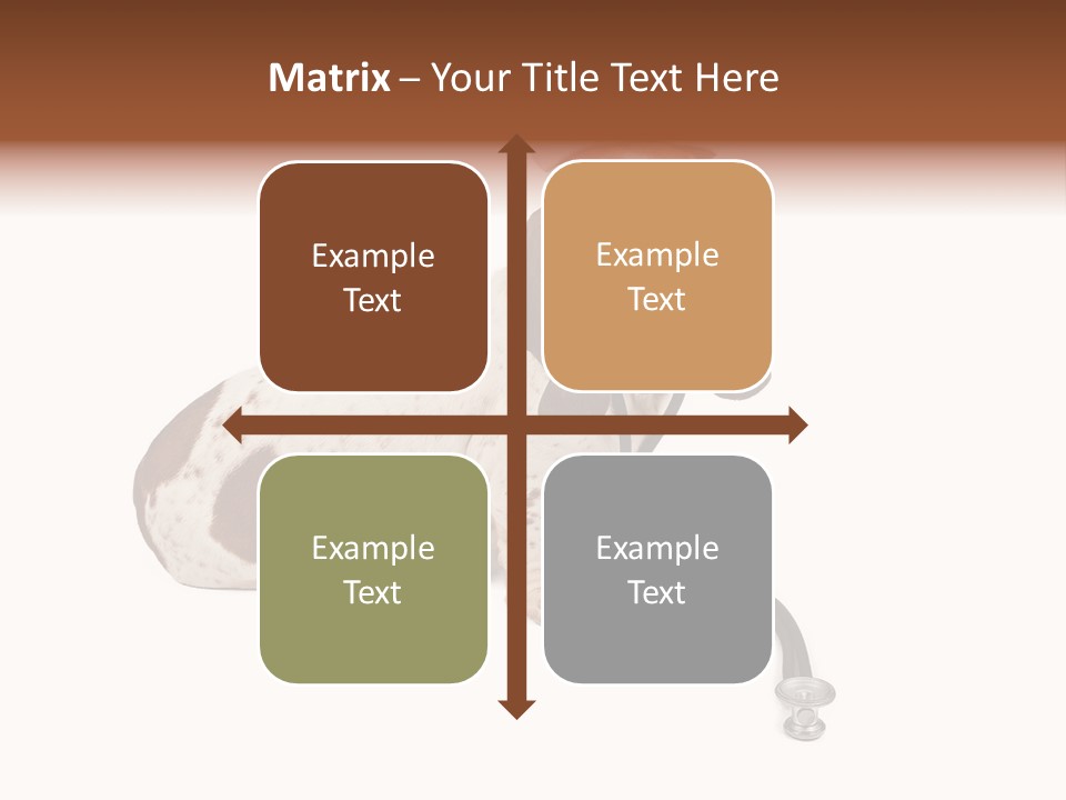 Studio Isolated Veterinarian PowerPoint Template