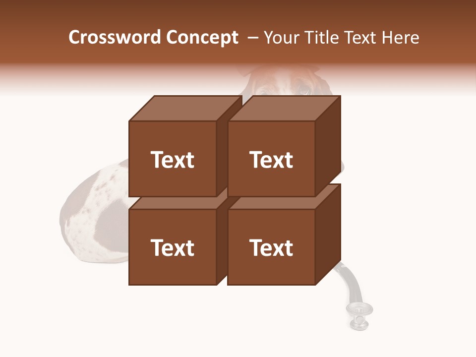 Studio Isolated Veterinarian PowerPoint Template