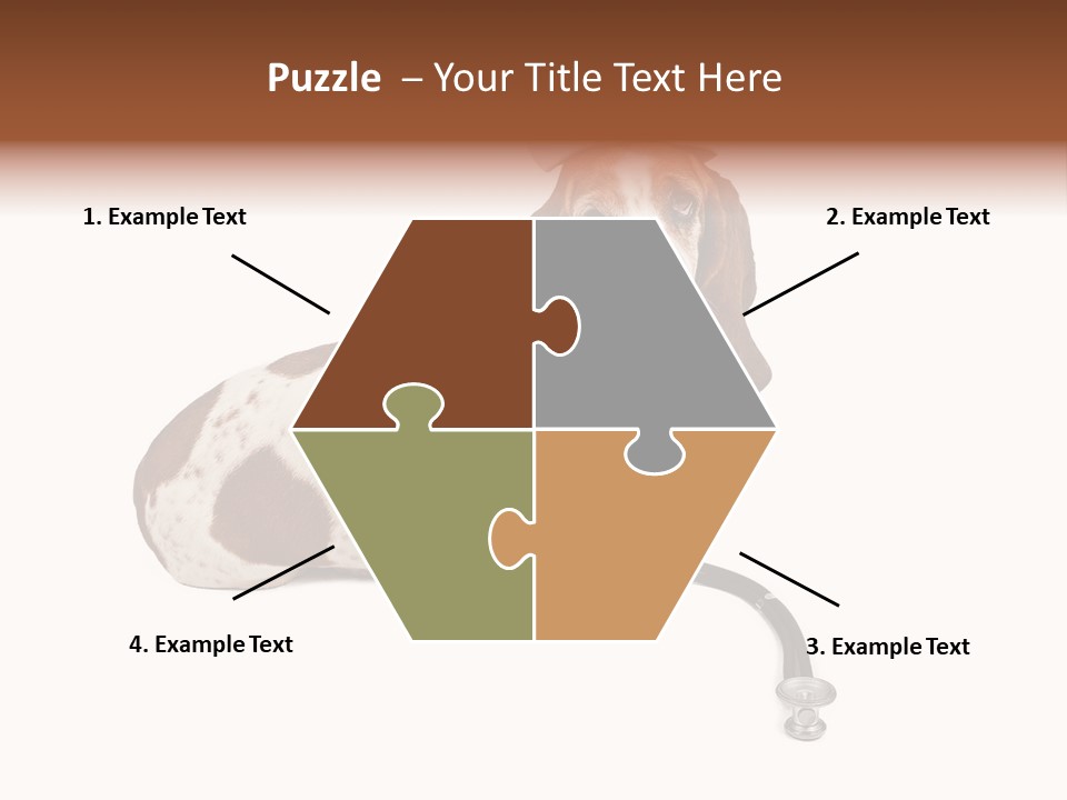 Studio Isolated Veterinarian PowerPoint Template