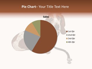 Studio Isolated Veterinarian PowerPoint Template