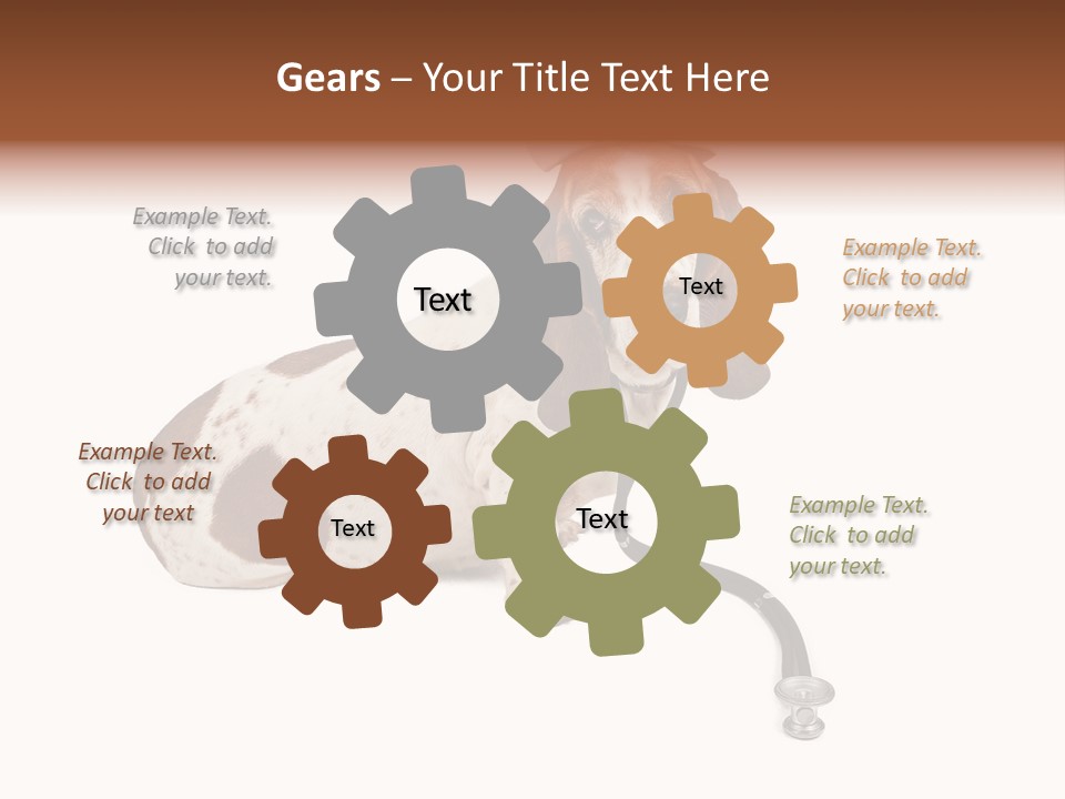 Studio Isolated Veterinarian PowerPoint Template