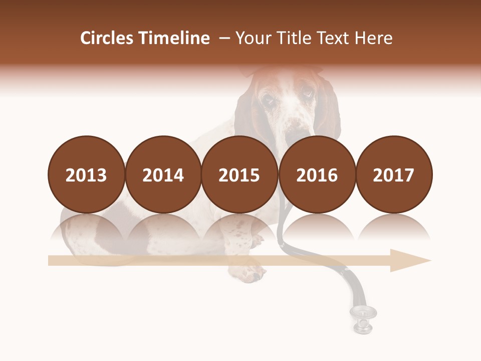 Studio Isolated Veterinarian PowerPoint Template