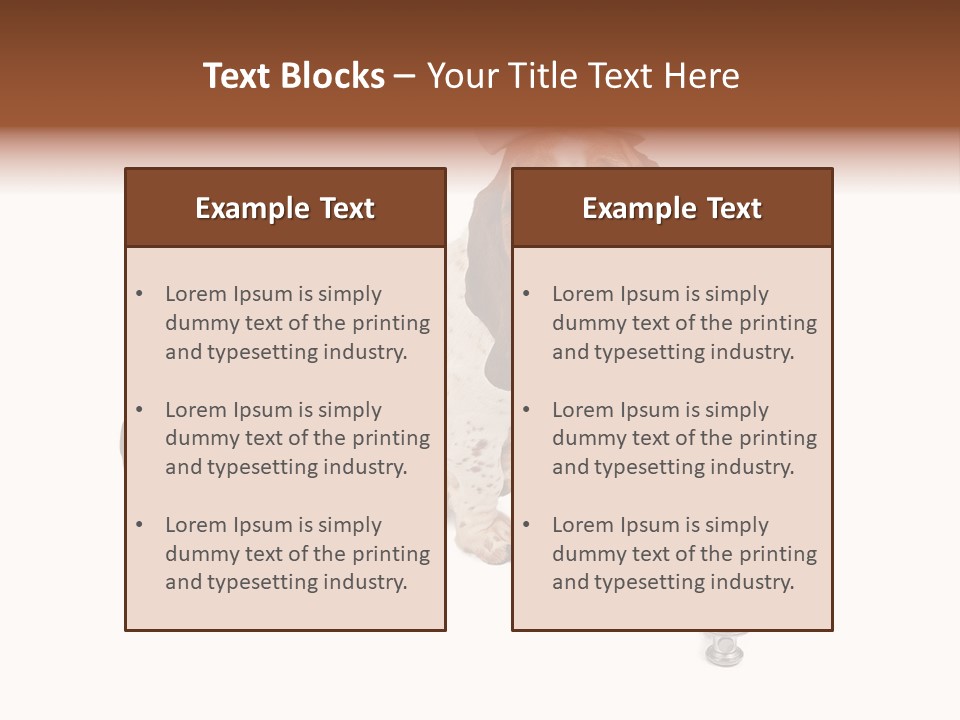 Studio Isolated Veterinarian PowerPoint Template