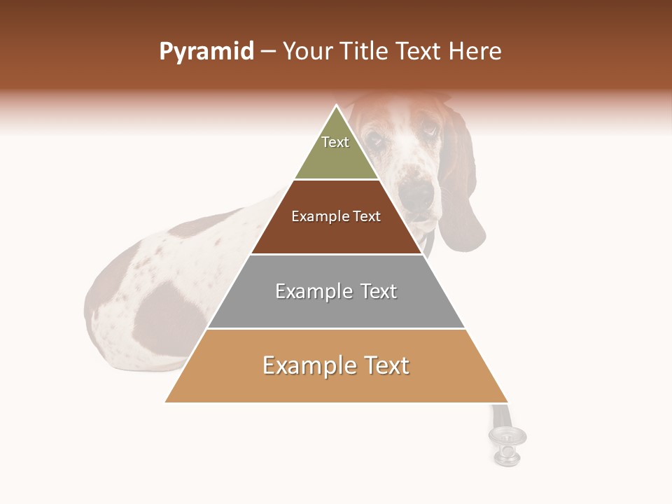 Studio Isolated Veterinarian PowerPoint Template