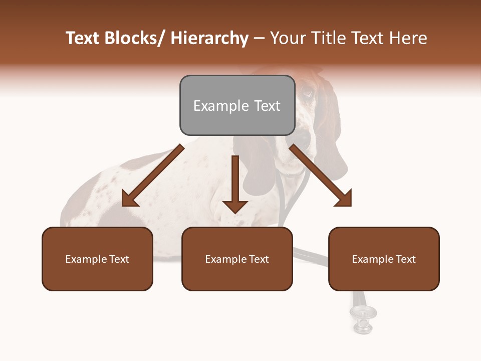 Studio Isolated Veterinarian PowerPoint Template