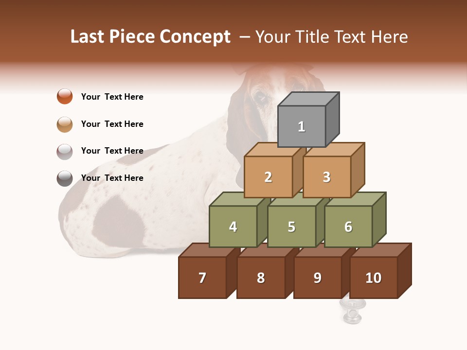 Studio Isolated Veterinarian PowerPoint Template