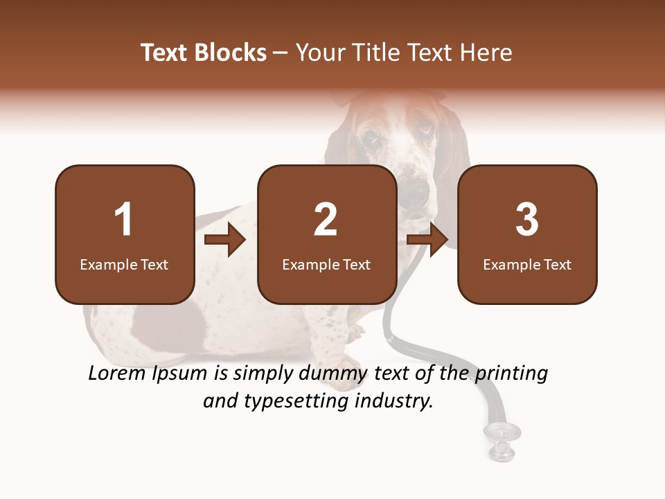 Studio Isolated Veterinarian PowerPoint Template