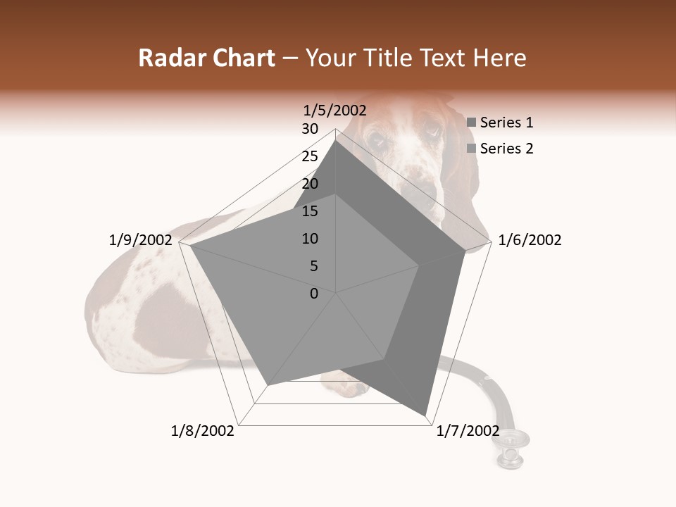 Studio Isolated Veterinarian PowerPoint Template