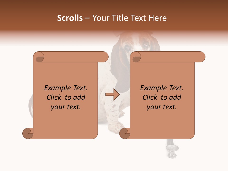 Studio Isolated Veterinarian PowerPoint Template