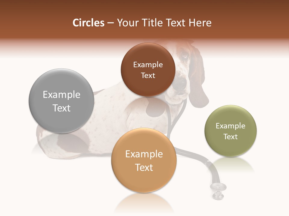 Studio Isolated Veterinarian PowerPoint Template