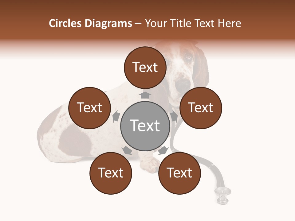 Studio Isolated Veterinarian PowerPoint Template