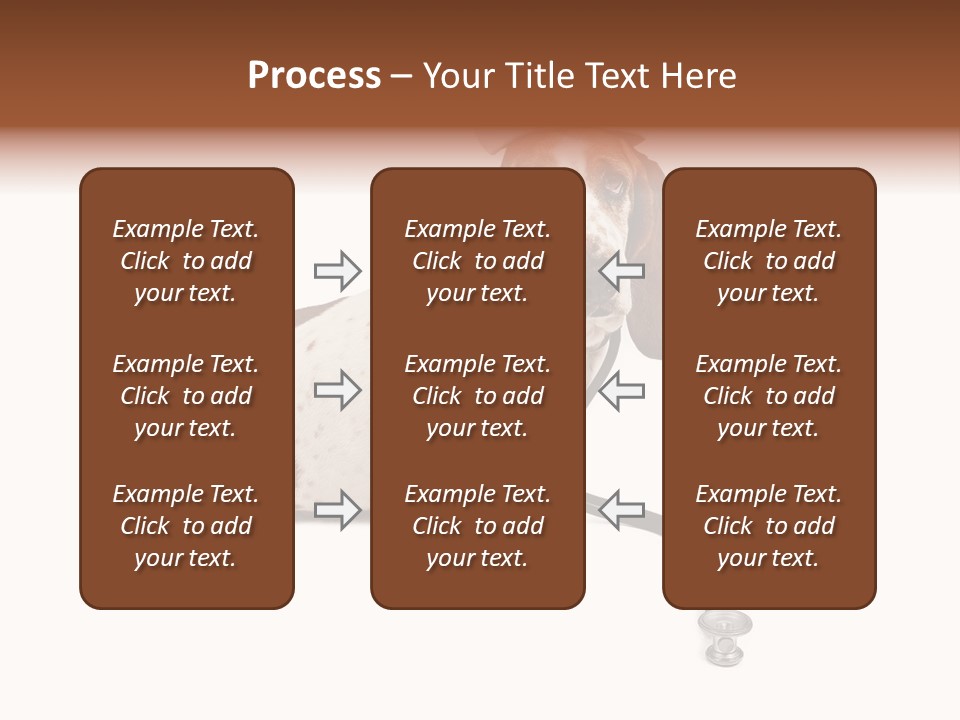 Studio Isolated Veterinarian PowerPoint Template