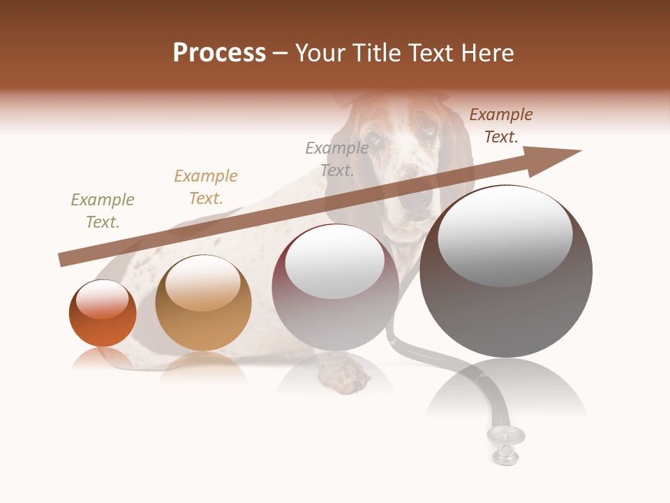 Studio Isolated Veterinarian PowerPoint Template