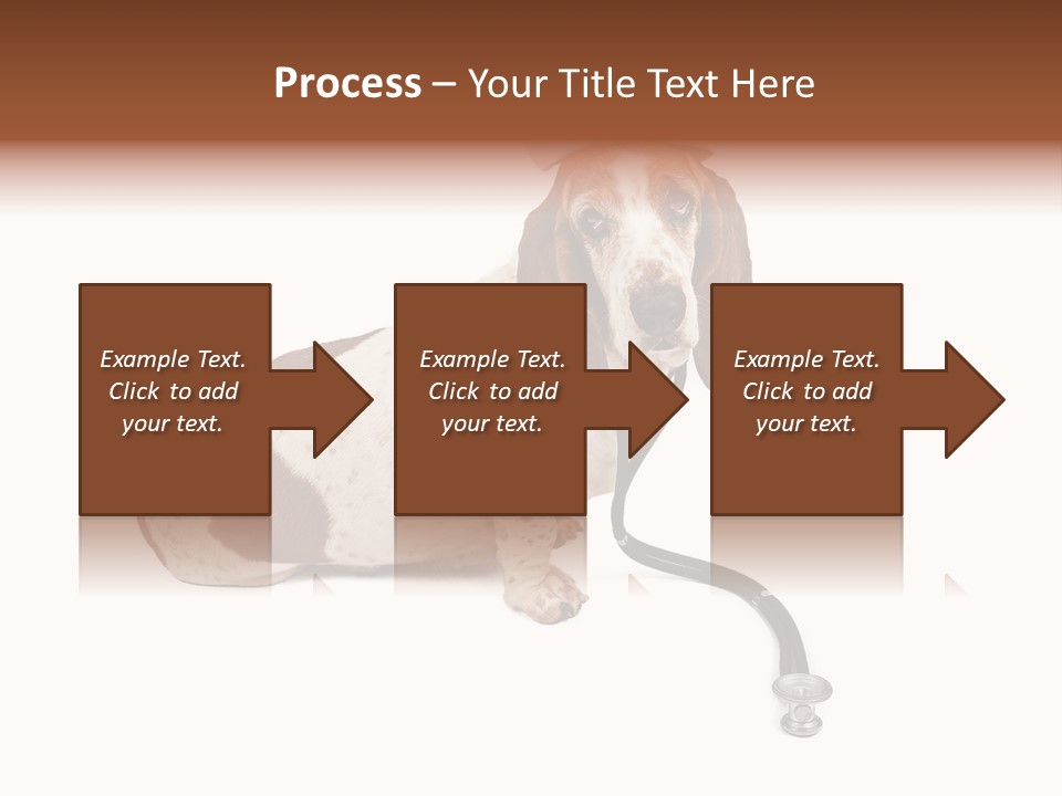Studio Isolated Veterinarian PowerPoint Template