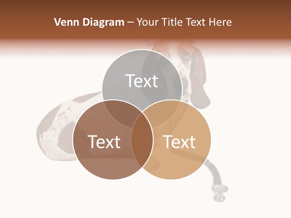 Studio Isolated Veterinarian PowerPoint Template