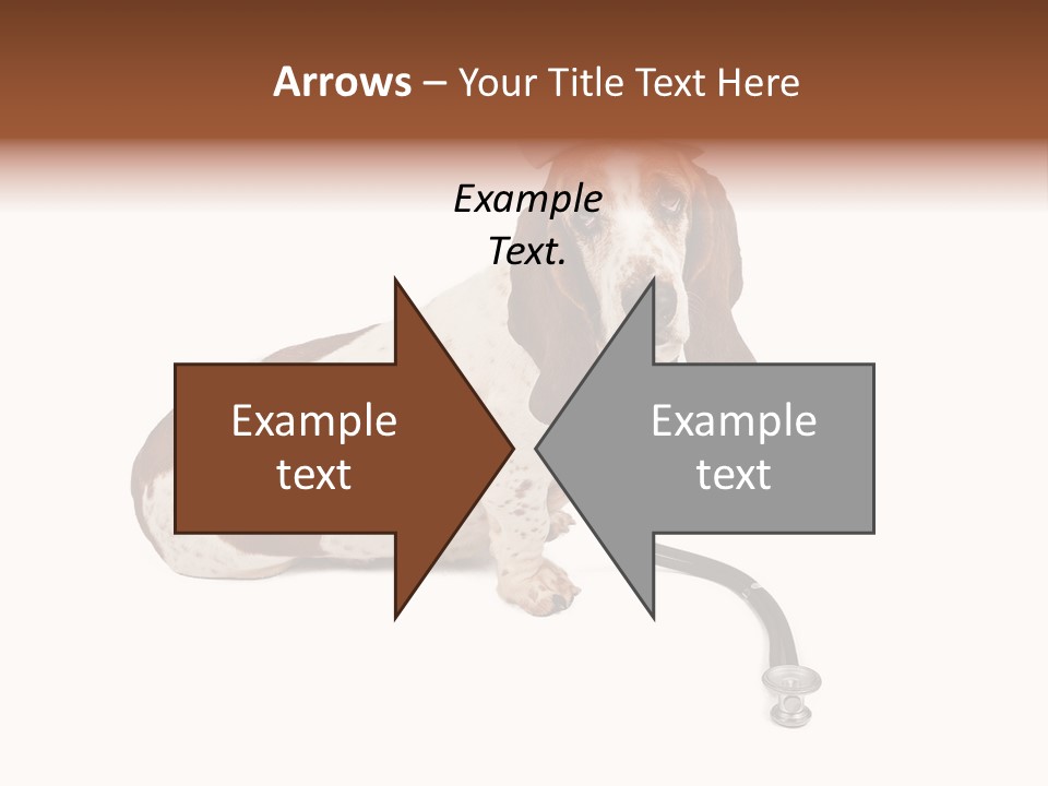 Studio Isolated Veterinarian PowerPoint Template