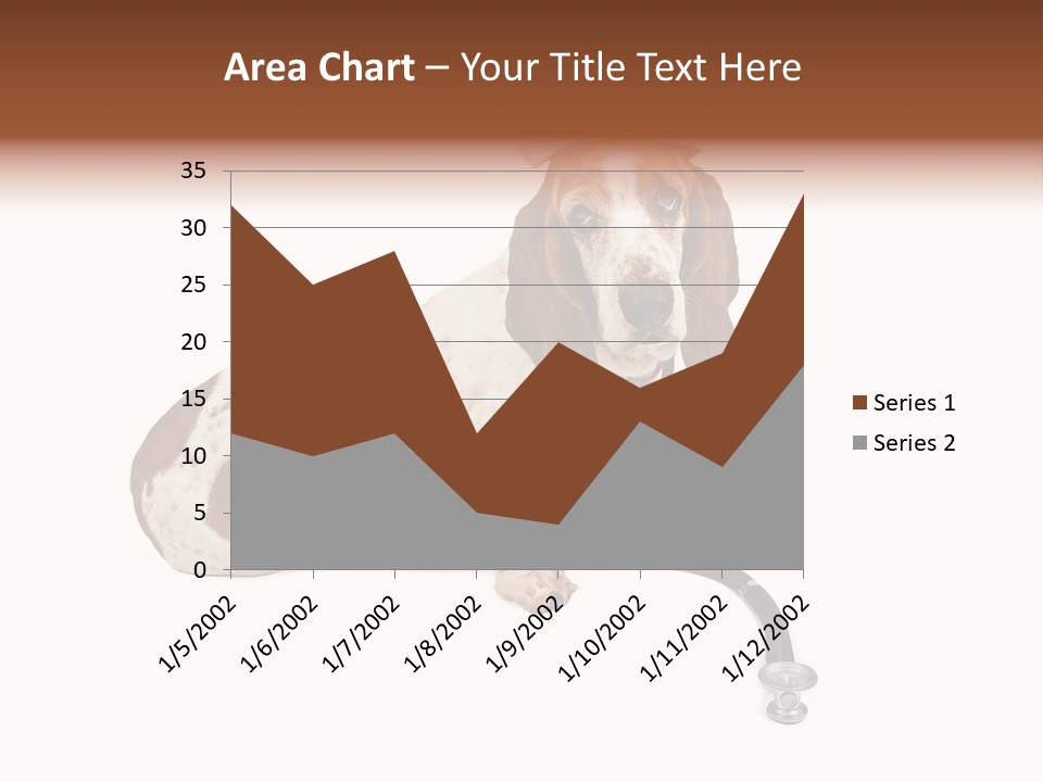 Studio Isolated Veterinarian PowerPoint Template