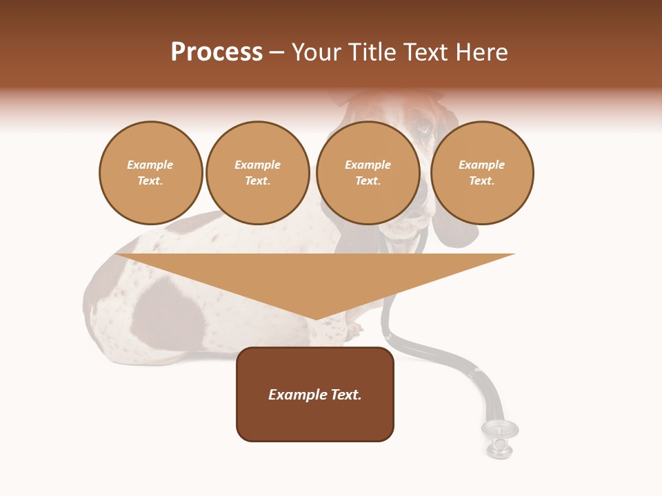 Studio Isolated Veterinarian PowerPoint Template