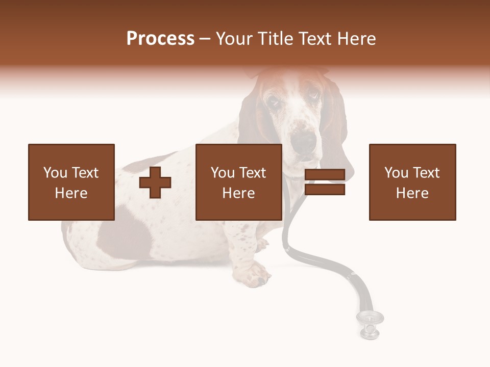 Studio Isolated Veterinarian PowerPoint Template