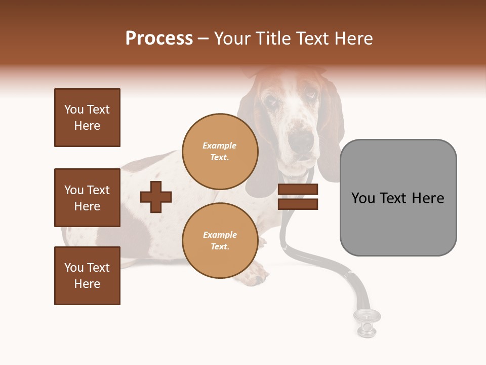 Studio Isolated Veterinarian PowerPoint Template
