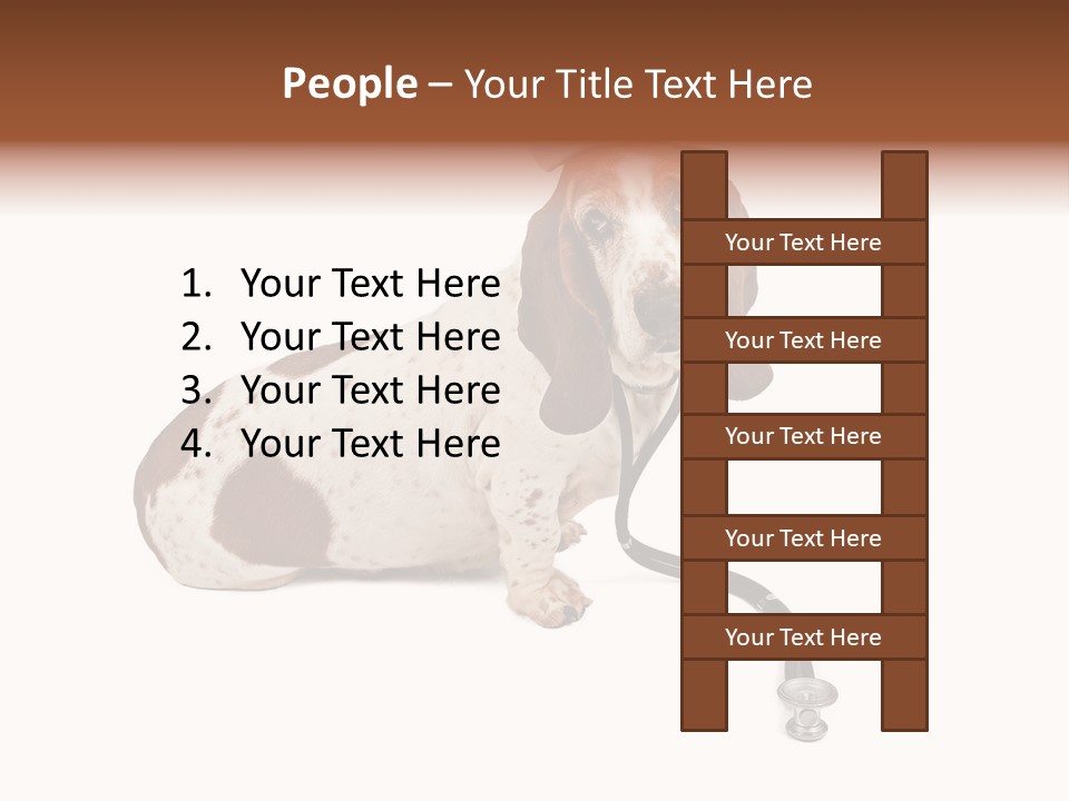 Studio Isolated Veterinarian PowerPoint Template