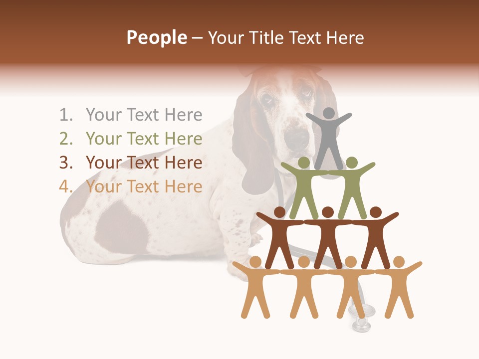 Studio Isolated Veterinarian PowerPoint Template