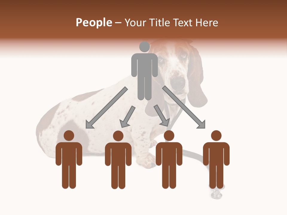 Studio Isolated Veterinarian PowerPoint Template