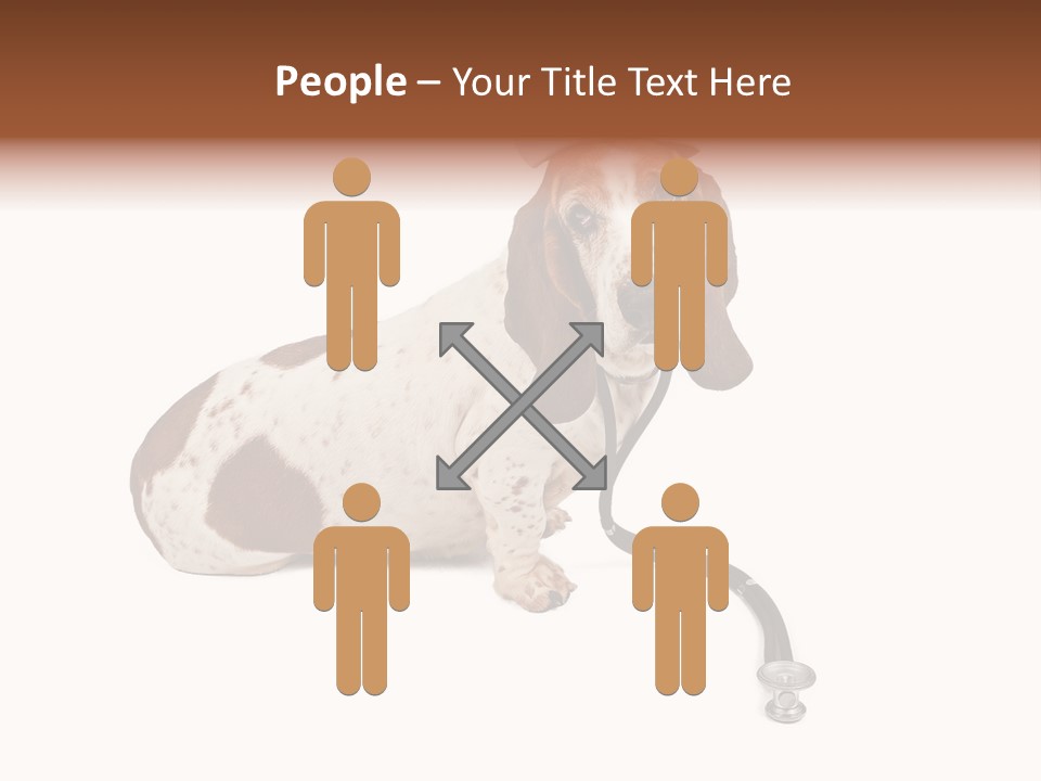 Studio Isolated Veterinarian PowerPoint Template