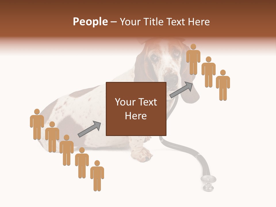 Studio Isolated Veterinarian PowerPoint Template