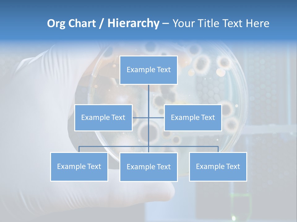 Biotechnology Medicine Analysis PowerPoint Template