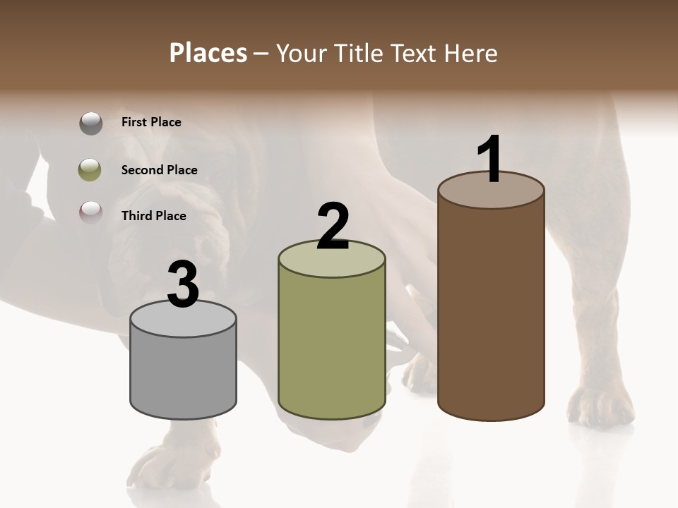 Clean Grooming Visual PowerPoint Template