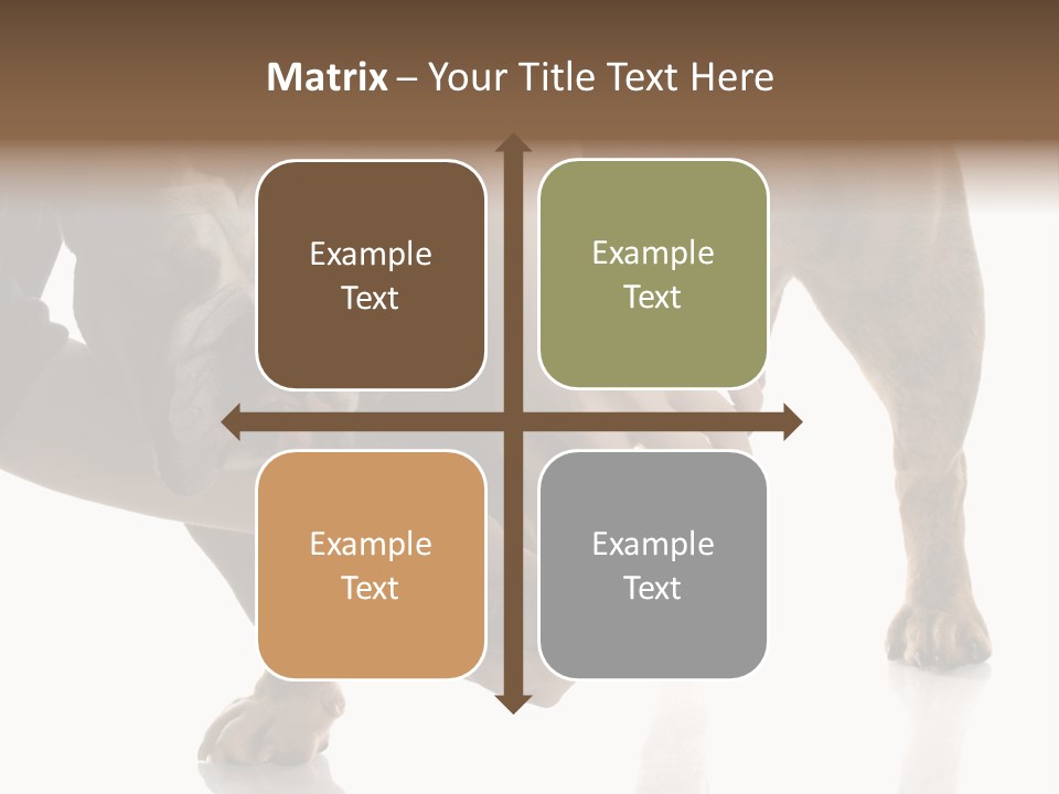 Clean Grooming Visual PowerPoint Template