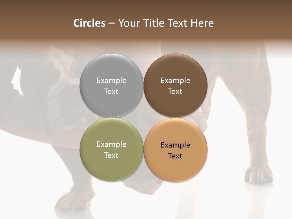 Clean Grooming Visual PowerPoint Template