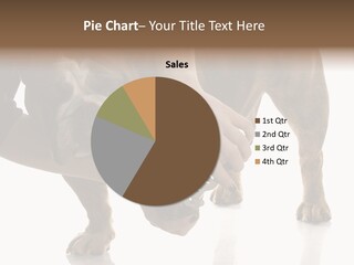 Clean Grooming Visual PowerPoint Template