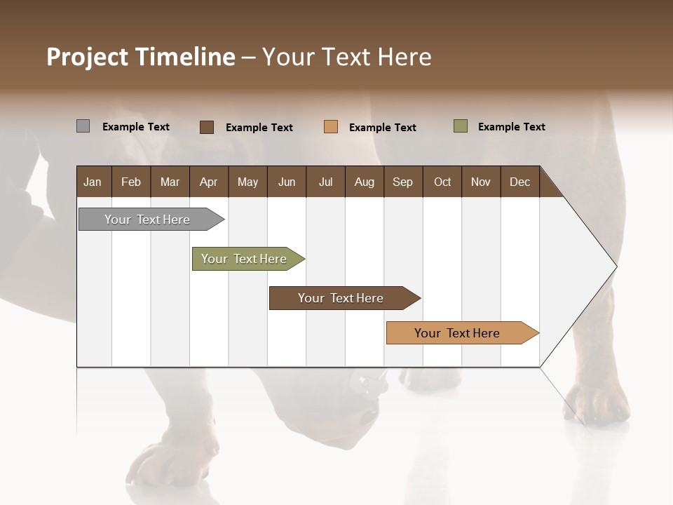 Clean Grooming Visual PowerPoint Template
