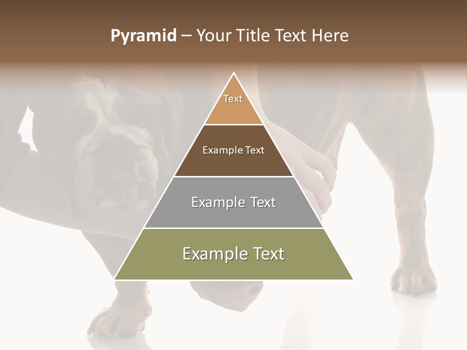 Clean Grooming Visual PowerPoint Template