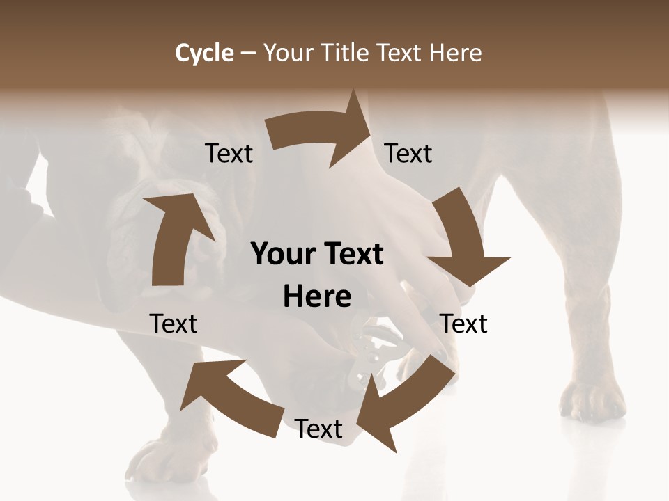 Clean Grooming Visual PowerPoint Template