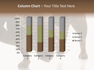 Clean Grooming Visual PowerPoint Template