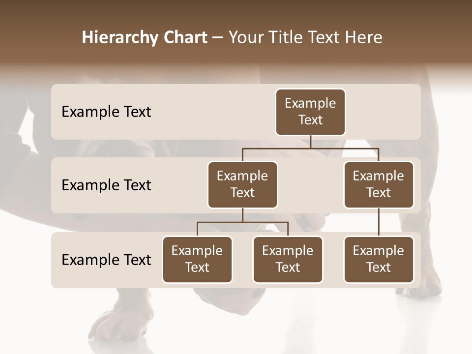 Clean Grooming Visual PowerPoint Template