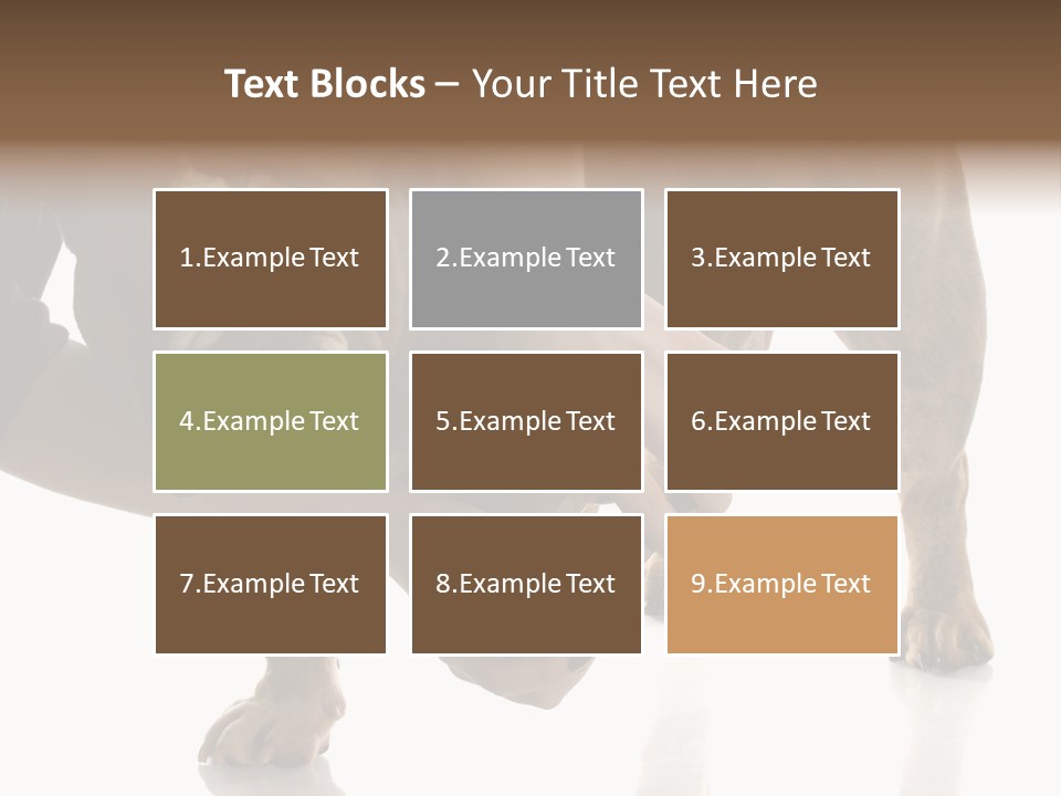 Clean Grooming Visual PowerPoint Template