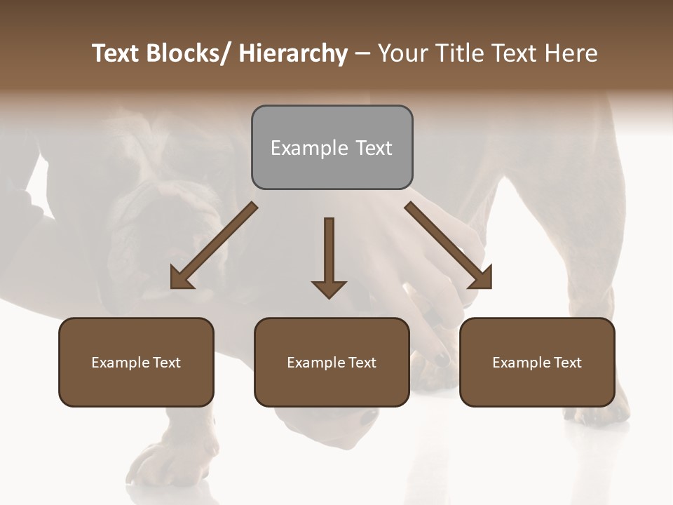 Clean Grooming Visual PowerPoint Template