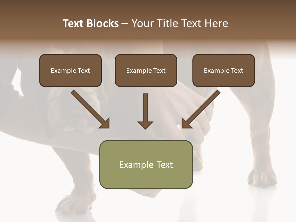 Clean Grooming Visual PowerPoint Template