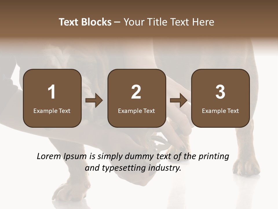 Clean Grooming Visual PowerPoint Template