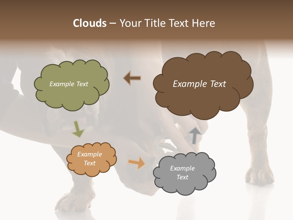 Clean Grooming Visual PowerPoint Template