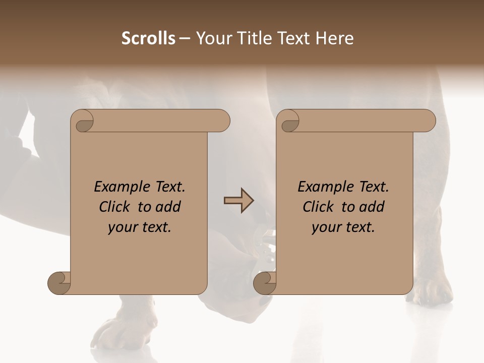 Clean Grooming Visual PowerPoint Template
