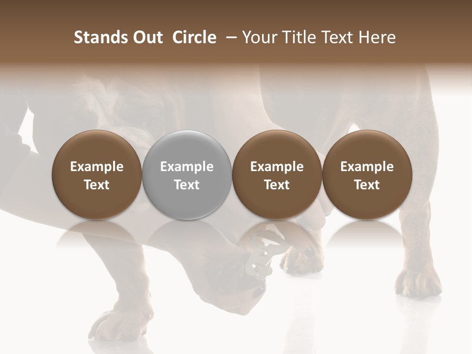 Clean Grooming Visual PowerPoint Template