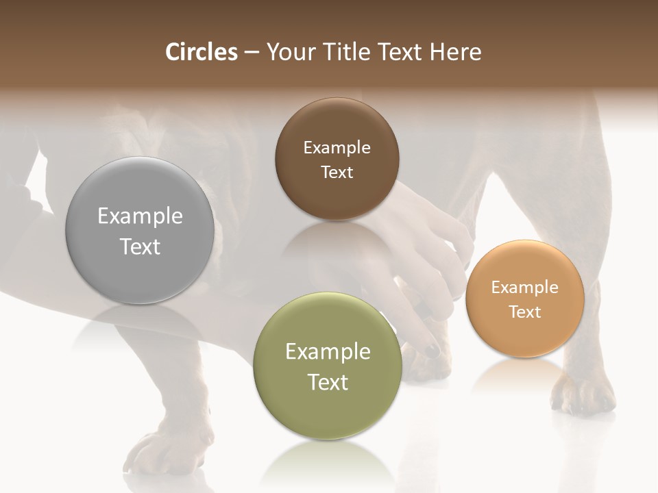 Clean Grooming Visual PowerPoint Template