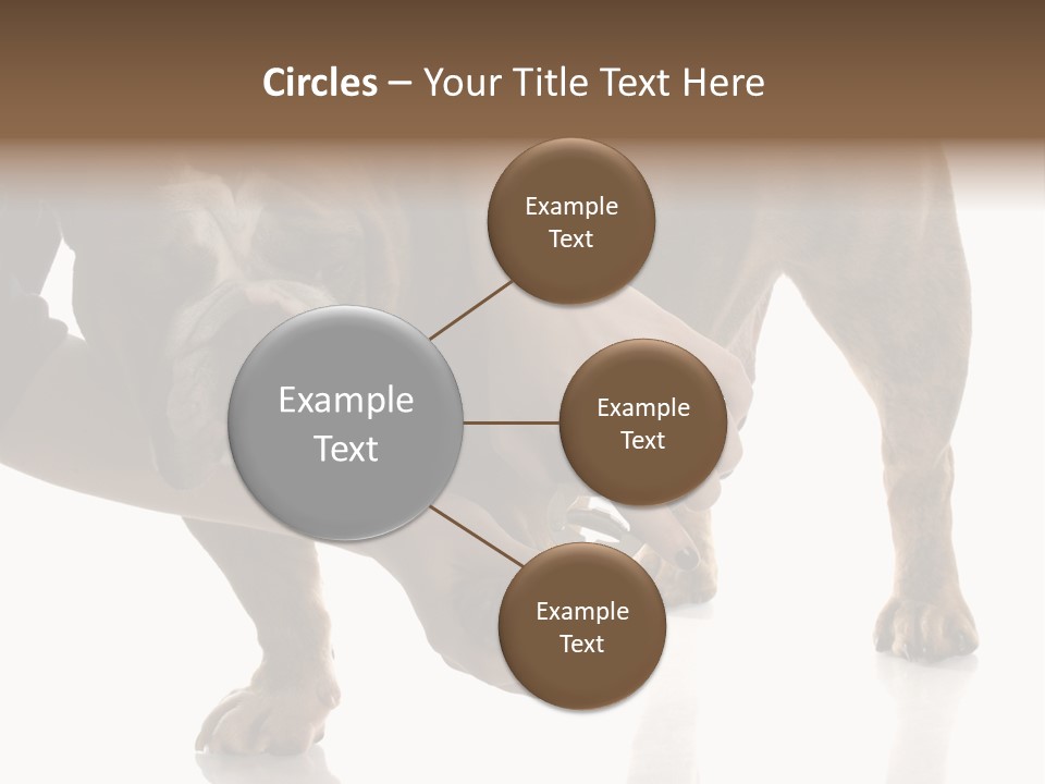 Clean Grooming Visual PowerPoint Template