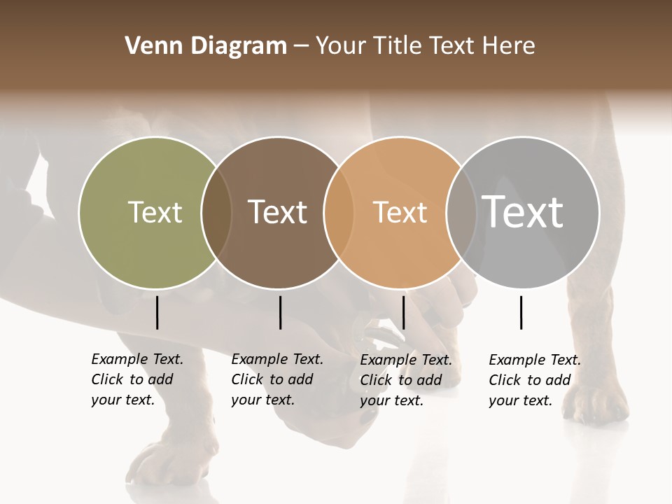 Clean Grooming Visual PowerPoint Template